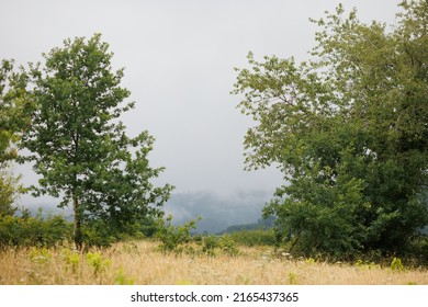 Paysage forestier en Aveyron