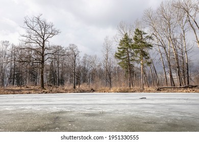 Forest landscape with bare trees and a frozen lake. Early spring. - Shutterstock ID 1951330555