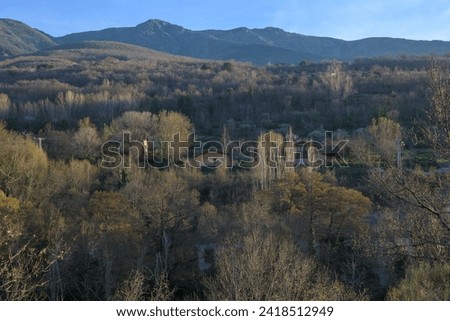 Forest landscape with houses along with leafless trees in winter with mountain and blue sky horizontally