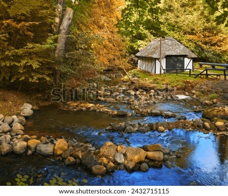 Forest, landscape and hut in river with trees, woods and natural environment in autumn with leaves or plants. Swamp, water and stream with growth, sustainability and ecology with rocks in Denmark