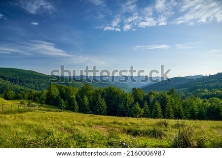 Forest landscape in mountains with meadow in front. Ukrainian Carpathian Mountains