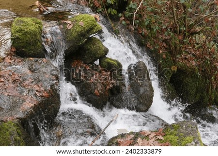 forest landscape river waterfall autumn route