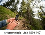 Forest landscape while hands hold a mobile cell phone of doing pictures from nature