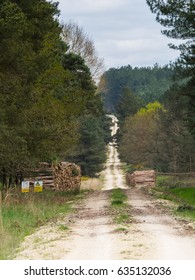 Forest Logging operation
