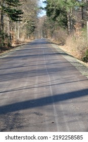in the forest is a long road