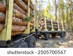 Forest machine loading logs for transportation. professional logging. Logs loaded onto trailers after felling