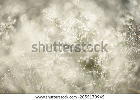 Similar – Foto Bild Schnee und Eis Landschaft