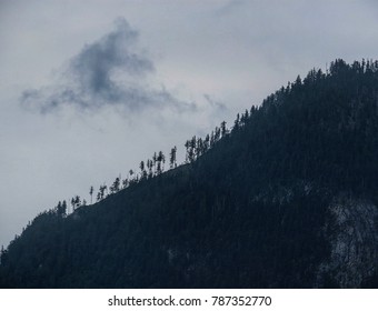 Forest Mountain Clouds