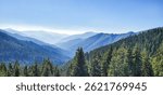 Forest and Mountains, Rogue River Siskiyou National Forest in California