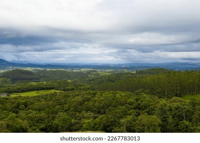 forest in the mountains and sky