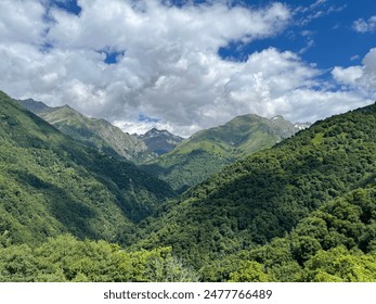 Forest mountains under cloud sky