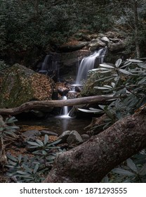 Forest With A Multiple Waterfalls