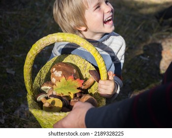 Forest Mushrooms In A Basket, The Joyful Face Of A Child. An Interesting Family Walk In The Forest And A Successful Picking Of Mushrooms, The Joy Of A Boy. Hobby To Collect Mushrooms. Selective Focus