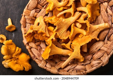 Forest Mushrooms chanterelles and forest moss on a wooden old background.  Raw uncooked in rattan plate bowl over brown texture background.  Mock up. Top view.