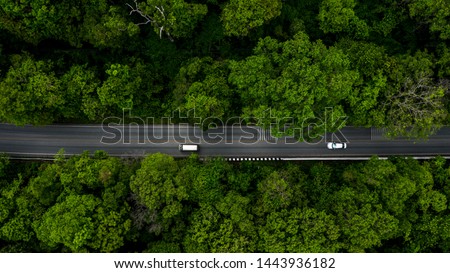 Forest narrow street road, Adventure road through the green forest nature, Aerial top view forest, Texture of forest view from above, Ecosystem and healthy environment concepts and background.