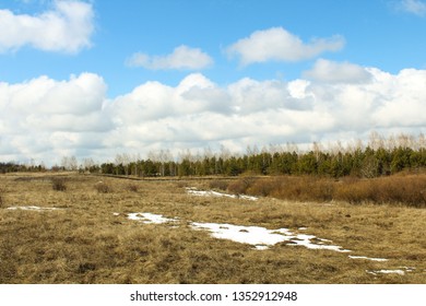 forest nature clouds