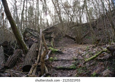 In The Forest Near A Clay Pit
