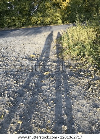 In the forest near the road you can see the shadow of two people