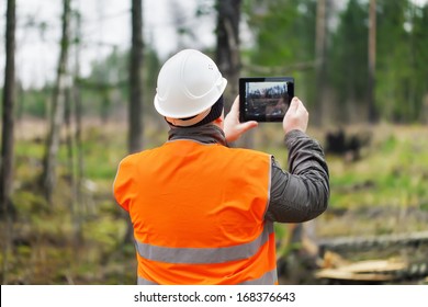 Forest Officer with tablet PC in destroyed forest