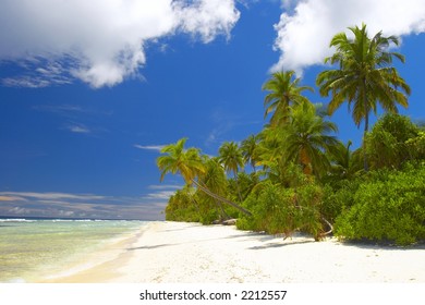 Forest On The Beach In Indian Ocean, Maldive Island, Gan