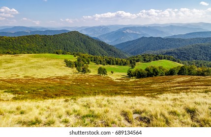 forest on hills of wide mountain ridge. lovely autumn scene. beautiful travel background - Shutterstock ID 689134564