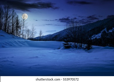 Forest On A Meadow Full Of Snow In High Mountains With Snowy Tops At Night In Full Moon Light