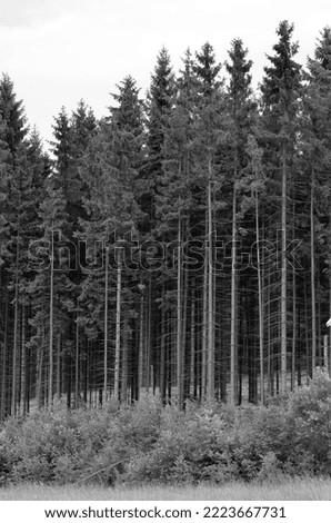 Similar – Foto Bild Sauerland Umwelt Natur