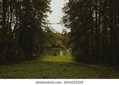 The forest opens up in front of the river. The path cuts through a field bordered by trees. A path through the field leads down to the river. Through the forest we see the shore with the forest.