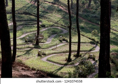 1000 Orchid Forest Lembang Stock Images Photos Vectors