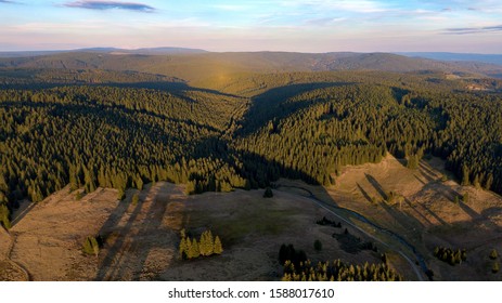 Forest In Ore Mountains, Czech Republic