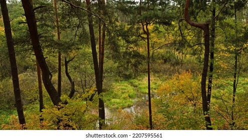 A Forest Oxbow Lake In The Fall.