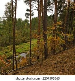 A Forest Oxbow Lake In The Fall.