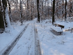Forest Park Bench Under Snow  Czech Republic 