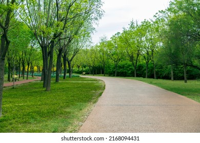 Forest Park, fresh scenery, natural oxygen bar, green runway