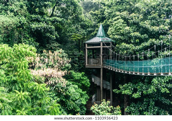 Forest Park\
Malaysia
