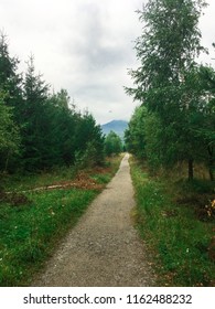 Forest with path