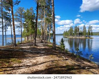 Forest path along lakeshore with pine trees, overlooking a small island and blue sky with clouds in northern Sweden. - Powered by Shutterstock