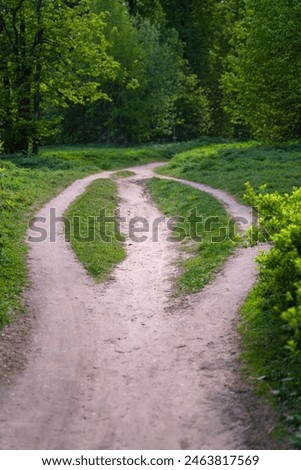Forest path forks into three trails then reconverges into one