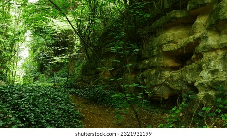 Forest path in the great solitude, with sunlit strong dirt and rock face, historical remnant, edge of mountain and dirt and pebbles, underground rock formation, with ivy dangling in the air