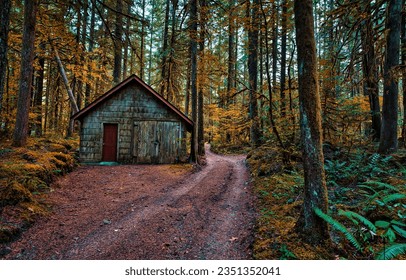 Forest path to the hut in the autumn forest. Autumn forest path. Forest hut in autumn woods. Autumn forest path
