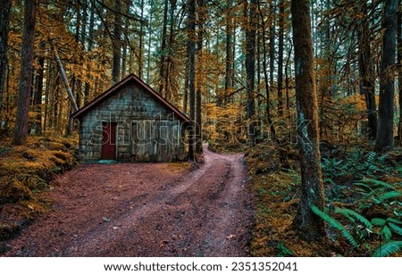 Forest path to the hut in the autumn forest. Autumn forest path. Forest hut in autumn woods. Autumn forest path