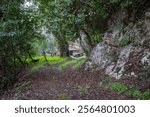 Forest path leading to a rustic building nestled amongst trees and rocks.