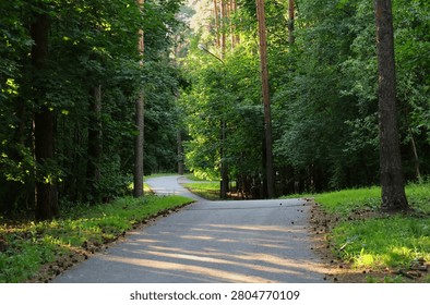 A forest path meanders through a green forest. An attractive paved path winds through a sun-drenched forest, surrounded by lush trees and dense foliage.