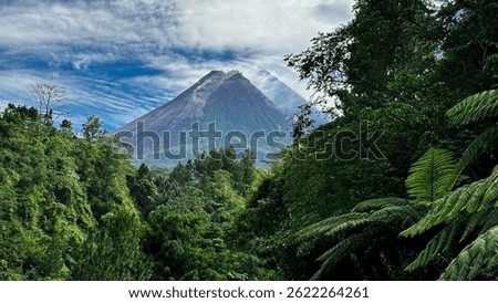 Forest path with mountain volcano view in tropical landscape. Lush greenery and beautiful sky, perfect for travel and exploration