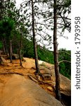 Forest path on pine cliffs in Algonquin provincial park, Canada