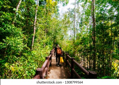 Forest path with people from the back