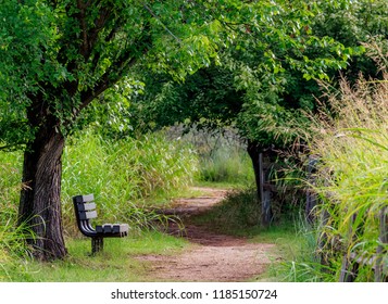 A Forest Path In A Rural Park In Oklahoma City