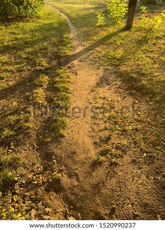 Similar – Image, Stock Photo Continue Trip Hiking Legs