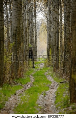 Forest path with watchpost