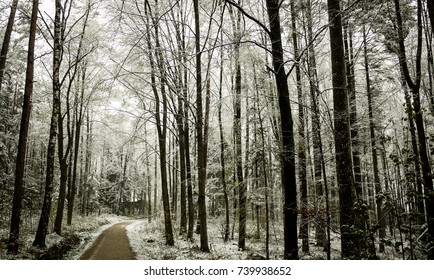 Forest Pathway in winter with snow on the ground. Taken in Dentlein Am Forst in Bavaria, Germany